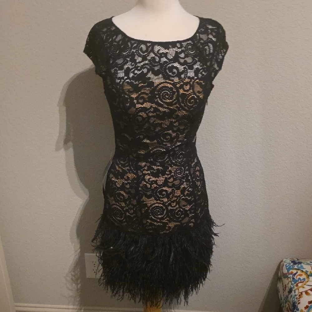 New Elegant Black Lace Mini Dress with Feathered Skirt